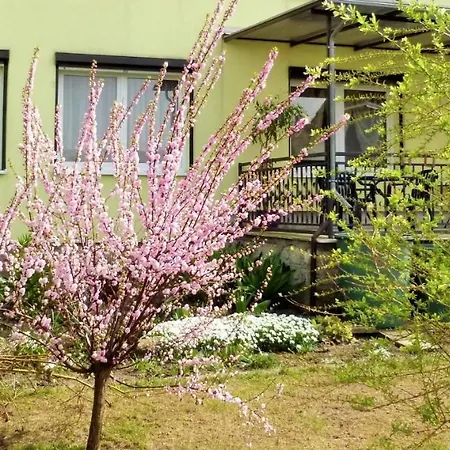 Haus Germania אורחן